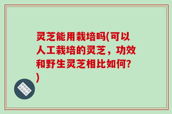 灵芝能用栽培吗(可以人工栽培的灵芝,功效和野生灵芝相比如何?) 灵芝能用栽培吗(可以人工栽培的灵芝,功效和野生灵芝相比如何?)