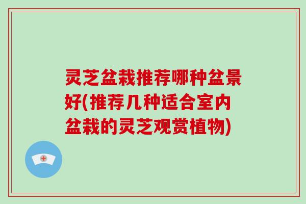 灵芝盆栽推荐哪种盆景好(推荐几种适合室内盆栽的灵芝观赏植物) 灵芝盆栽推荐哪种盆景好(推荐几种适合室内盆栽的灵芝观赏植物)