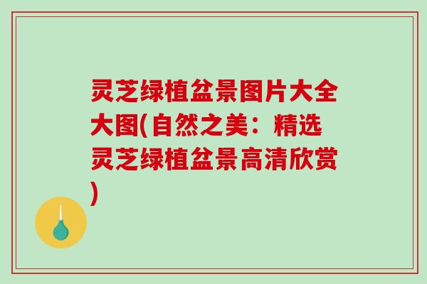 灵芝绿植盆景图片大全大图(自然之美:精选灵芝绿植盆景高清欣赏) 灵芝绿植盆景图片大全大图(自然之美:精选灵芝绿植盆景高清欣赏)