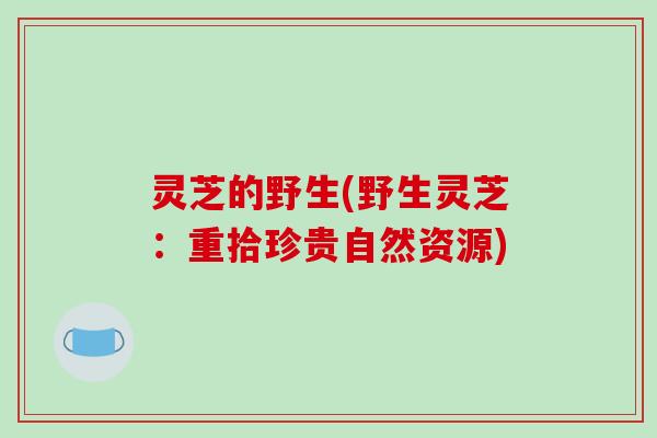 灵芝的野生(野生灵芝:重拾珍贵自然资源) 灵芝的野生(野生灵芝:重拾珍贵自然资源)