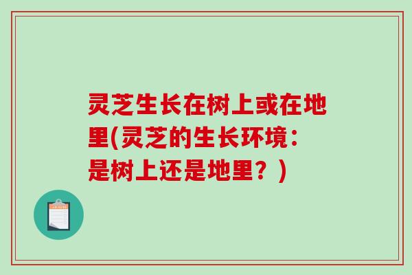灵芝生长在树上或在地里(灵芝的生长环境:是树上还是地里?) 灵芝生长在树上或在地里(灵芝的生长环境:是树上还是地里?)