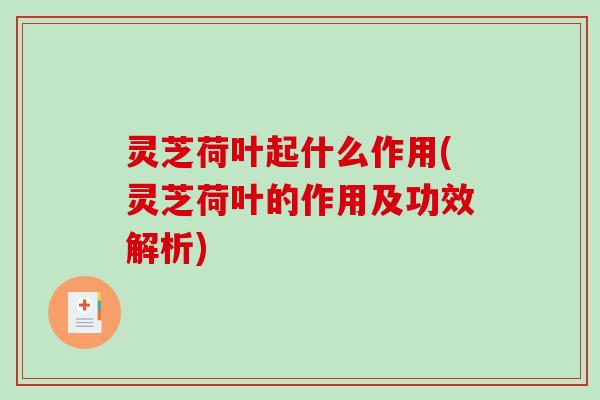 灵芝荷叶起什么作用(灵芝荷叶的作用及功效解析) 灵芝荷叶起什么作用(灵芝荷叶的作用及功效解析)