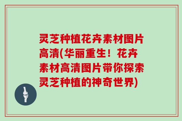 灵芝种植花卉素材图片高清(华丽重生!花卉素材高清图片带你探索灵芝种植的神奇世界) 灵芝种植花卉素材图片高清(华丽重生!花卉素材高清图片带你探索灵芝种植的神奇世界)