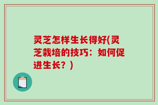 灵芝怎样生长得好(灵芝栽培的技巧:如何促进生长?) 灵芝怎样生长得好(灵芝栽培的技巧:如何促进生长?)