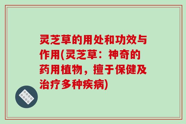 灵芝草的用处和功效与作用(灵芝草:神奇的药用植物,擅于保健及多种) 灵芝草的用处和功效与作用(灵芝草:神奇的药用植物,擅于保健及多种)