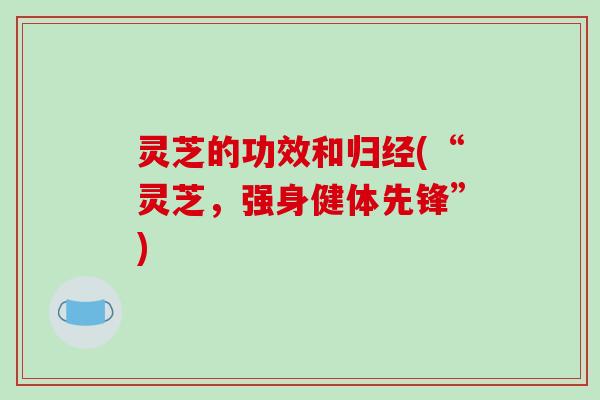 灵芝的功效和归经(“灵芝,强身健体先锋”) 灵芝的功效和归经(“灵芝,强身健体先锋”)