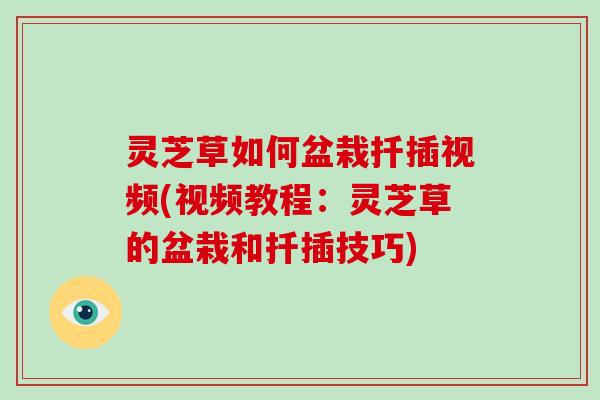 灵芝草如何盆栽扦插视频(视频教程:灵芝草的盆栽和扦插技巧) 灵芝草如何盆栽扦插视频(视频教程:灵芝草的盆栽和扦插技巧)