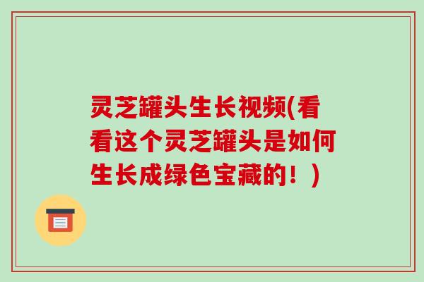灵芝罐头生长视频(看看这个灵芝罐头是如何生长成绿色宝藏的!) 灵芝罐头生长视频(看看这个灵芝罐头是如何生长成绿色宝藏的!)