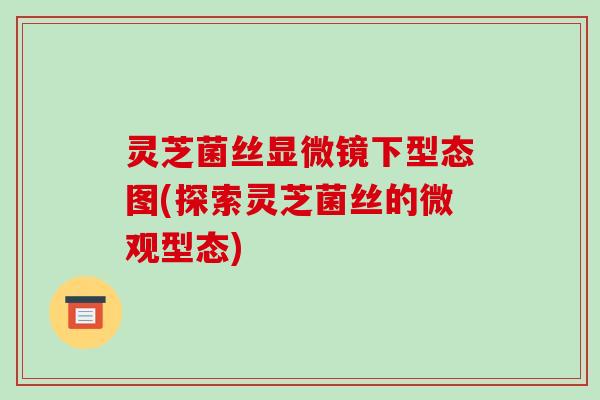 灵芝菌丝显微镜下型态图(探索灵芝菌丝的微观型态) 灵芝菌丝显微镜下型态图(探索灵芝菌丝的微观型态)