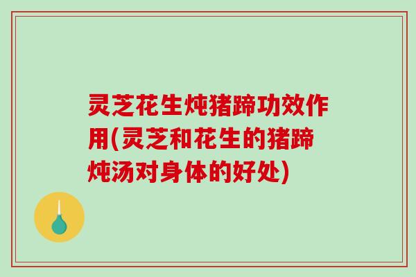 灵芝花生炖猪蹄功效作用(灵芝和花生的猪蹄炖汤对身体的好处)