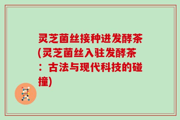 灵芝菌丝接种进发酵茶(灵芝菌丝入驻发酵茶:古法与现代科技的碰撞) 灵芝菌丝接种进发酵茶(灵芝菌丝入驻发酵茶:古法与现代科技的碰撞)