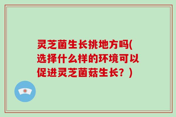 灵芝菌生长挑地方吗(选择什么样的环境可以促进灵芝菌菇生长?) 灵芝菌生长挑地方吗(选择什么样的环境可以促进灵芝菌菇生长?)