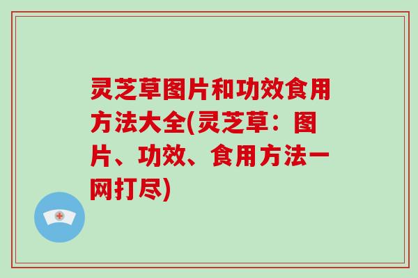 灵芝草图片和功效食用方法大全(灵芝草:图片、功效、食用方法一网打尽) 灵芝草图片和功效食用方法大全(灵芝草:图片、功效、食用方法一网打尽)