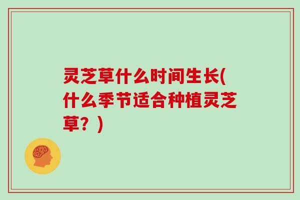 灵芝草什么时间生长(什么季节适合种植灵芝草?) 灵芝草什么时间生长(什么季节适合种植灵芝草?)
