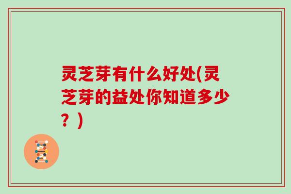 灵芝芽有什么好处(灵芝芽的益处你知道多少？)