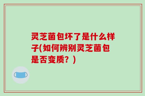 灵芝菌包坏了是什么样子(如何辨别灵芝菌包是否变质？)