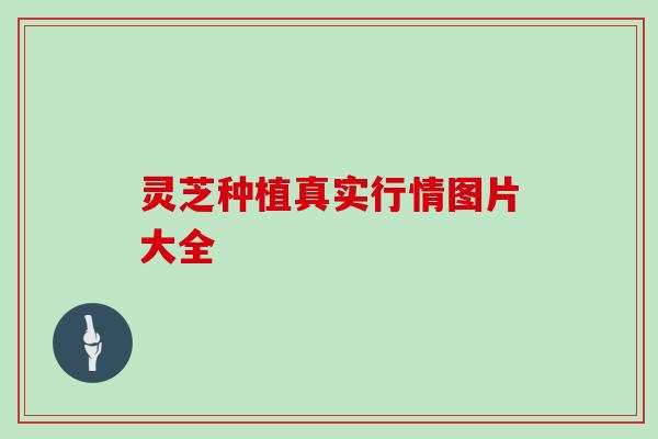灵芝种植真实行情图片大全 灵芝种植真实行情图片大全