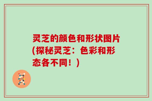 灵芝的颜色和形状图片(探秘灵芝:色彩和形态各不同!) 灵芝的颜色和形状图片(探秘灵芝:色彩和形态各不同!)