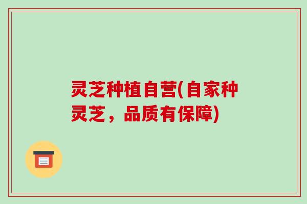 灵芝种植自营(自家种灵芝,品质有保障) 灵芝种植自营(自家种灵芝,品质有保障)
