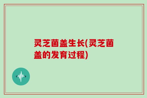 灵芝菌盖生长(灵芝菌盖的发育过程) 灵芝菌盖生长(灵芝菌盖的发育过程)