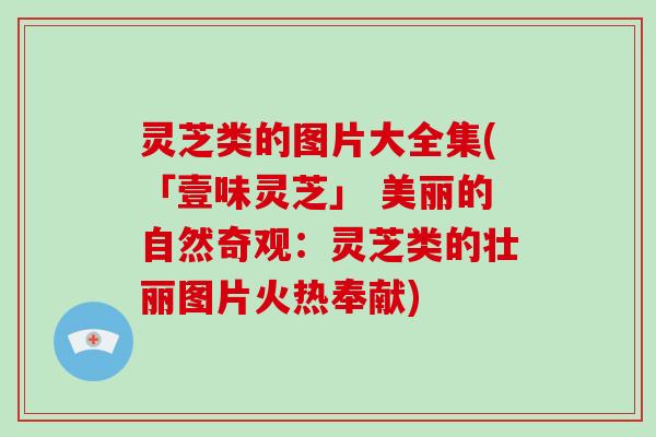 灵芝类的图片大全集(「壹味灵芝」 美丽的自然奇观:灵芝类的壮丽图片火热奉献) 灵芝类的图片大全集(「壹味灵芝」 美丽的自然奇观:灵芝类的壮丽图片火热奉献)