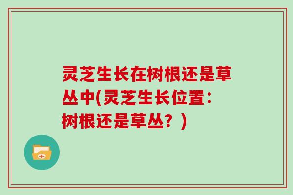 灵芝生长在树根还是草丛中(灵芝生长位置:树根还是草丛?) 灵芝生长在树根还是草丛中(灵芝生长位置:树根还是草丛?)