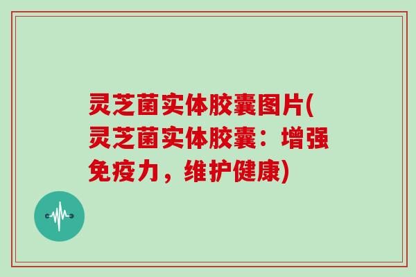 灵芝菌实体胶囊图片(灵芝菌实体胶囊:增强免疫力,维护健康) 灵芝菌实体胶囊图片(灵芝菌实体胶囊:增强免疫力,维护健康)