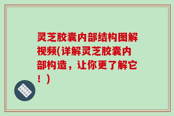 灵芝胶囊内部结构图解视频(详解灵芝胶囊内部构造，让你更了解它！)