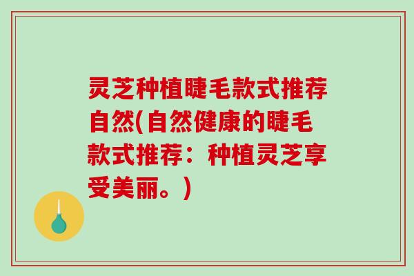 灵芝种植睫毛款式推荐自然(自然健康的睫毛款式推荐:种植灵芝享受美丽。) 灵芝种植睫毛款式推荐自然(自然健康的睫毛款式推荐:种植灵芝享受美丽。)