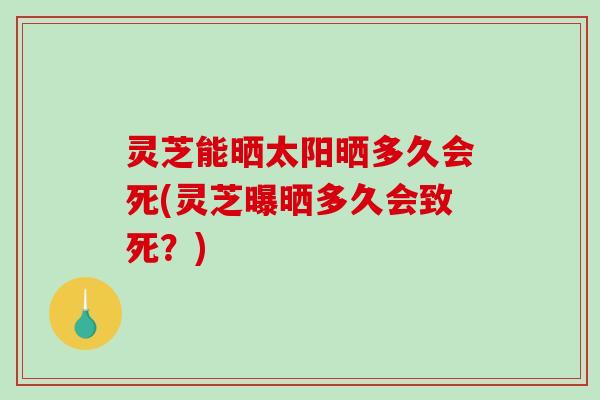 灵芝能晒太阳晒多久会死(灵芝曝晒多久会致死?) 灵芝能晒太阳晒多久会死(灵芝曝晒多久会致死?)