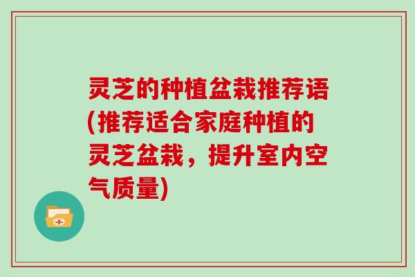 灵芝的种植盆栽推荐语(推荐适合家庭种植的灵芝盆栽,提升室内空气质量) 灵芝的种植盆栽推荐语(推荐适合家庭种植的灵芝盆栽,提升室内空气质量)