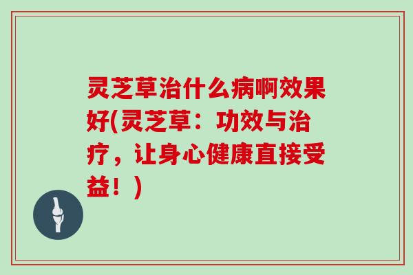 灵芝草什么啊效果好(灵芝草:功效与,让身心健康直接受益!) 灵芝草什么啊效果好(灵芝草:功效与,让身心健康直接受益!)