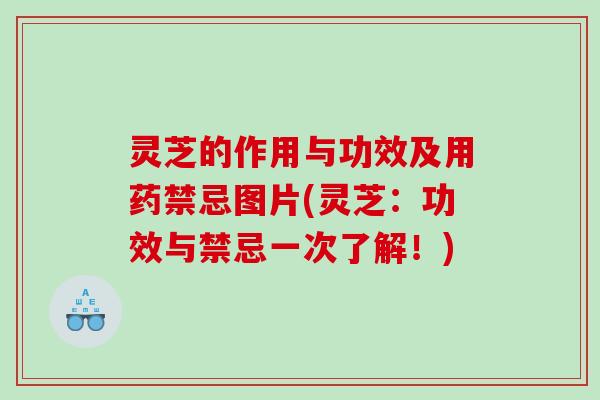 灵芝的作用与功效及用药禁忌图片(灵芝:功效与禁忌一次了解!) 灵芝的作用与功效及用药禁忌图片(灵芝:功效与禁忌一次了解!)