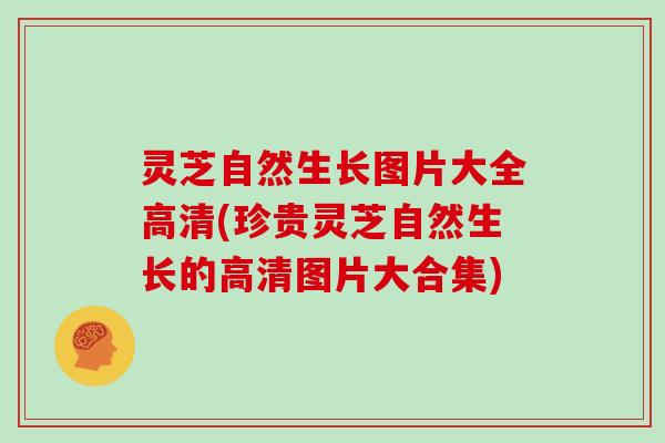 灵芝自然生长图片大全高清(珍贵灵芝自然生长的高清图片大合集)