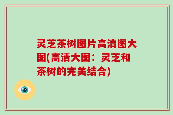 灵芝茶树图片高清图大图(高清大图:灵芝和茶树的完美结合) 灵芝茶树图片高清图大图(高清大图:灵芝和茶树的完美结合)