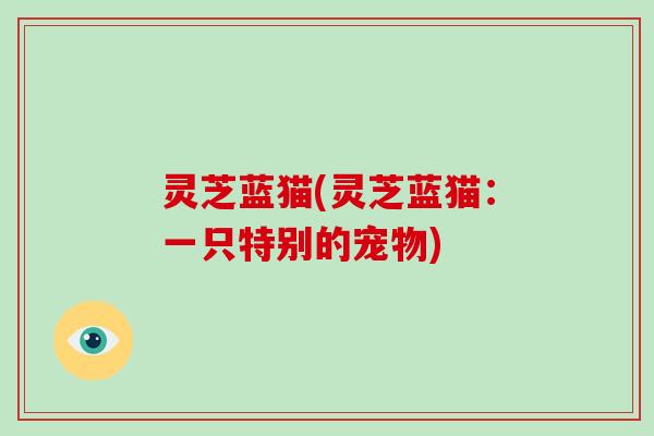 灵芝蓝猫(灵芝蓝猫：一只特别的宠物)