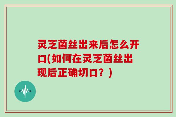 灵芝菌丝出来后怎么开口(如何在灵芝菌丝出现后正确切口?) 灵芝菌丝出来后怎么开口(如何在灵芝菌丝出现后正确切口?)