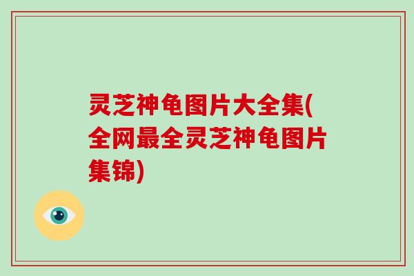 灵芝神龟图片大全集(全网全灵芝神龟图片集锦)