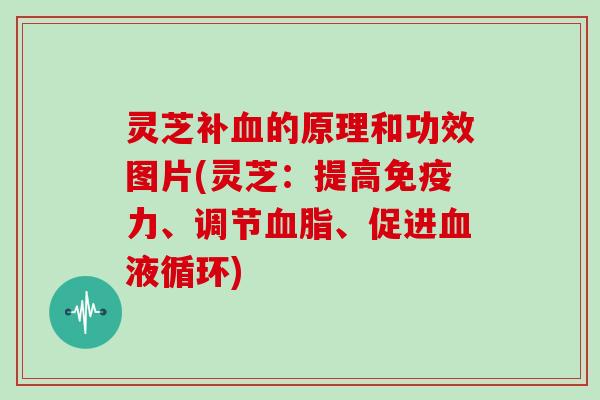 灵芝补的原理和功效图片(灵芝:提高免疫力、调节、促进) 灵芝补的原理和功效图片(灵芝:提高免疫力、调节、促进)