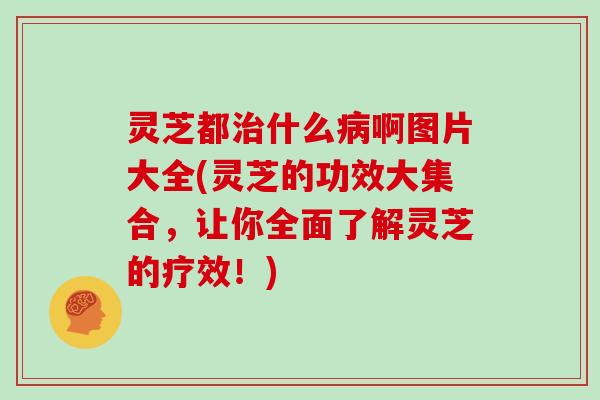 灵芝都什么啊图片大全(灵芝的功效大集合，让你全面了解灵芝的疗效！)