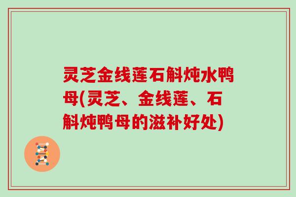 灵芝金线莲石斛炖水鸭母(灵芝、金线莲、石斛炖鸭母的滋补好处) 灵芝金线莲石斛炖水鸭母(灵芝、金线莲、石斛炖鸭母的滋补好处)