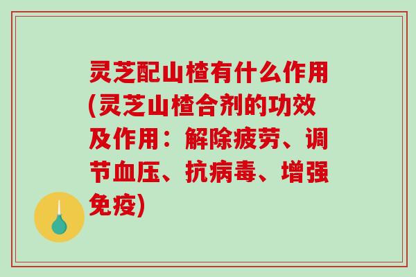灵芝配山楂有什么作用(灵芝山楂合剂的功效及作用:解除疲劳、调节、抗、增强免疫) 灵芝配山楂有什么作用(灵芝山楂合剂的功效及作用:解除疲劳、调节、抗、增强免疫)