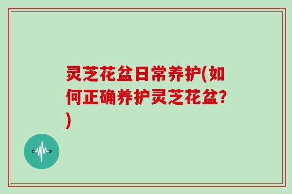 灵芝花盆日常养护(如何正确养护灵芝花盆?) 灵芝花盆日常养护(如何正确养护灵芝花盆?)