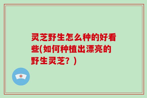 灵芝野生怎么种的好看些(如何种植出漂亮的野生灵芝?) 灵芝野生怎么种的好看些(如何种植出漂亮的野生灵芝?)