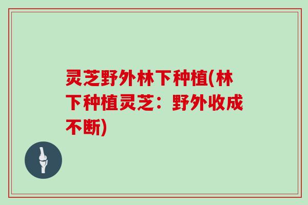 灵芝野外林下种植(林下种植灵芝：野外收成不断)