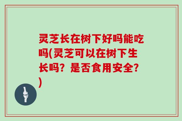 灵芝长在树下好吗能吃吗(灵芝可以在树下生长吗?是否食用安全?) 灵芝长在树下好吗能吃吗(灵芝可以在树下生长吗?是否食用安全?)