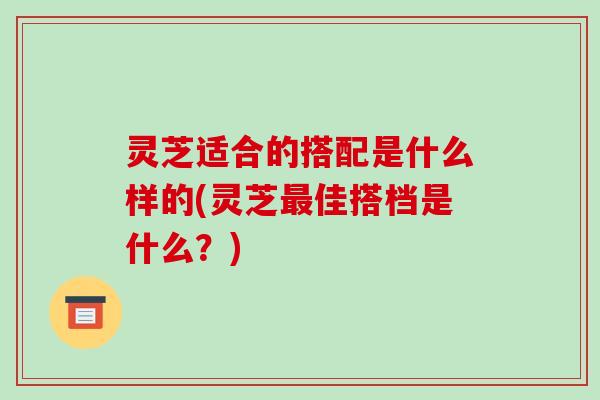 灵芝适合的搭配是什么样的(灵芝佳搭档是什么？)