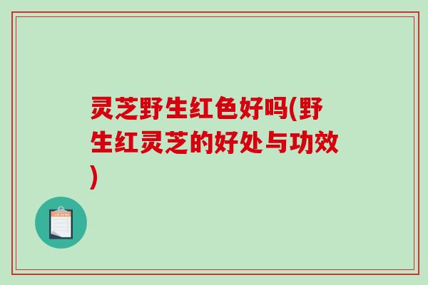 灵芝野生红色好吗(野生红灵芝的好处与功效)