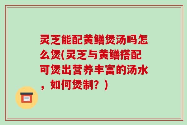 灵芝能配黄鳝煲汤吗怎么煲(灵芝与黄鳝搭配可煲出营养丰富的汤水,如何煲制?) 灵芝能配黄鳝煲汤吗怎么煲(灵芝与黄鳝搭配可煲出营养丰富的汤水,如何煲制?)