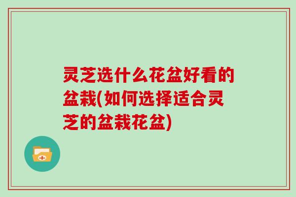 灵芝选什么花盆好看的盆栽(如何选择适合灵芝的盆栽花盆)